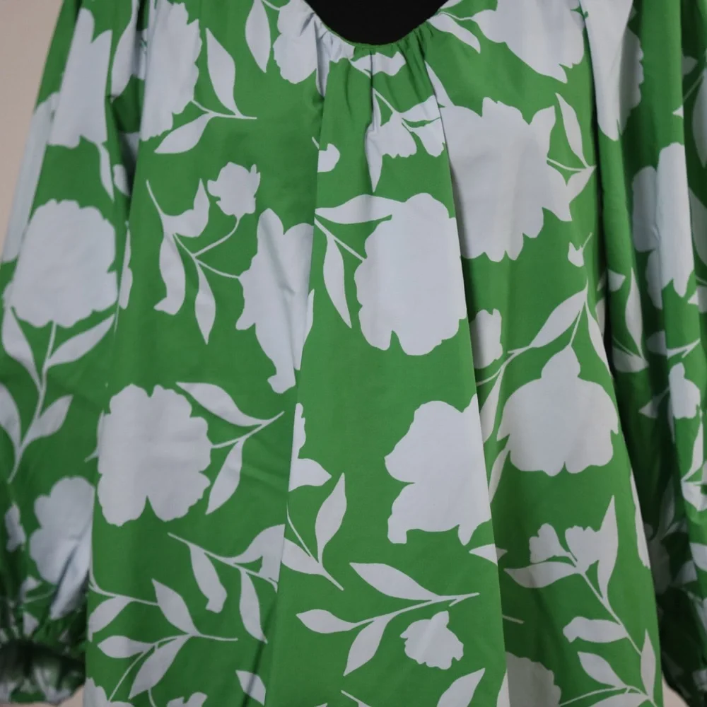 Kate Spade Green and Light Blue Oversized Tunic Dress - Picture 2 of 9